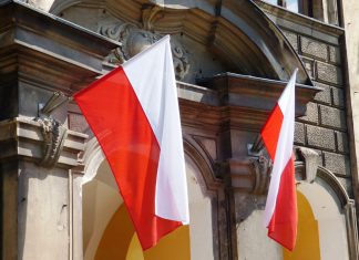 IVG : le cancre polonais