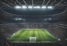 Les Verts victimes de leur inexpérience