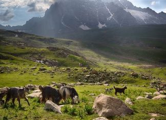 Chine, Inde, Frontières et Guerre Froide
