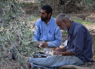 Syrie : les oubliés du coronavirus