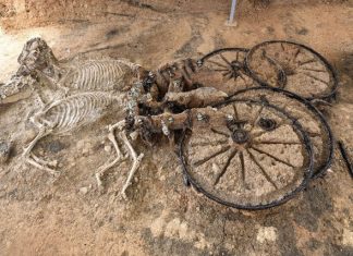 Char, Destructions et Restaurations : c’est l’actu Histoire (n°XVIII)