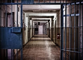 Ex-détenus sous Covid-19 : la double peine